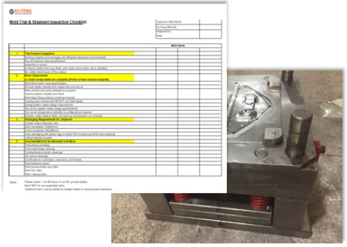 Mold Inspection Report